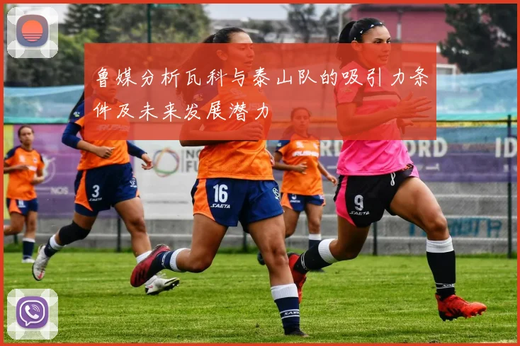 鲁媒分析瓦科与泰山队的吸引力条件及未来发展潜力