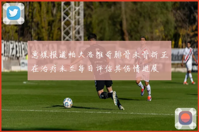 意媒报道帕夫洛维奇腓骨未骨折正在治疗米兰每日评估其伤情进展