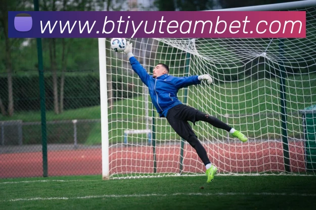 B体育APP 封面图